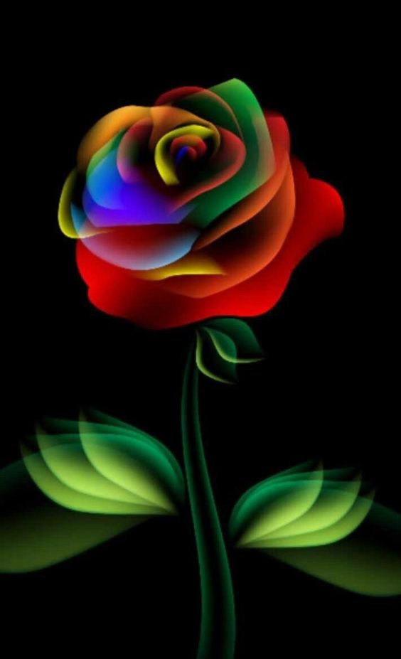 Rainbow Rose Wallpaper Iphone - HD Wallpaper 
