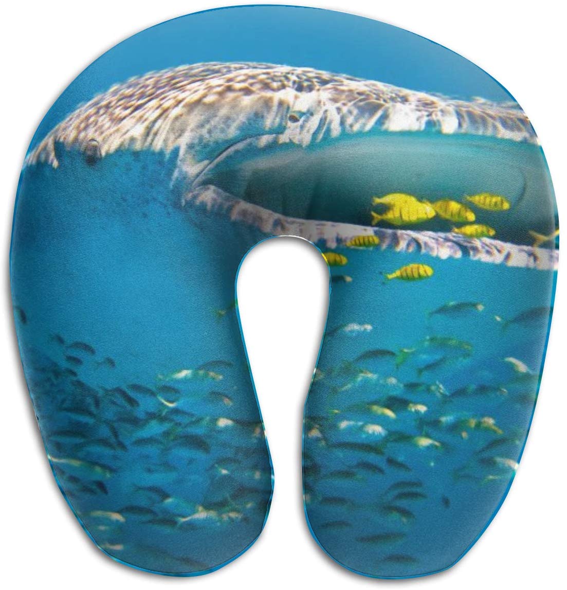 Whale Shark Western Australia - HD Wallpaper 