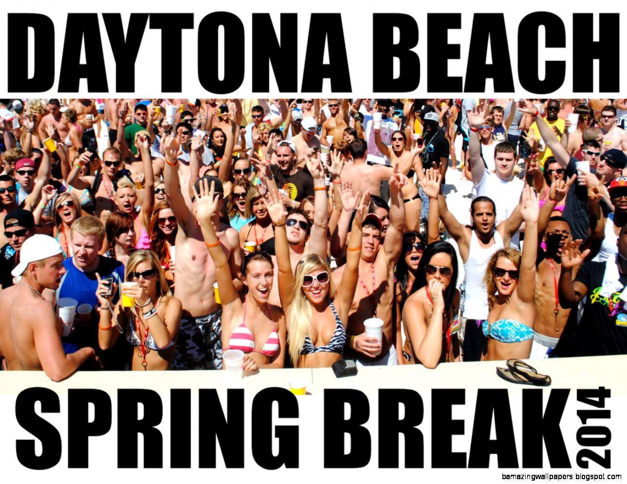 Daytona Beach Spring Break 2014 Wallpaper Daytona Beach - Beaver Beard - HD Wallpaper 