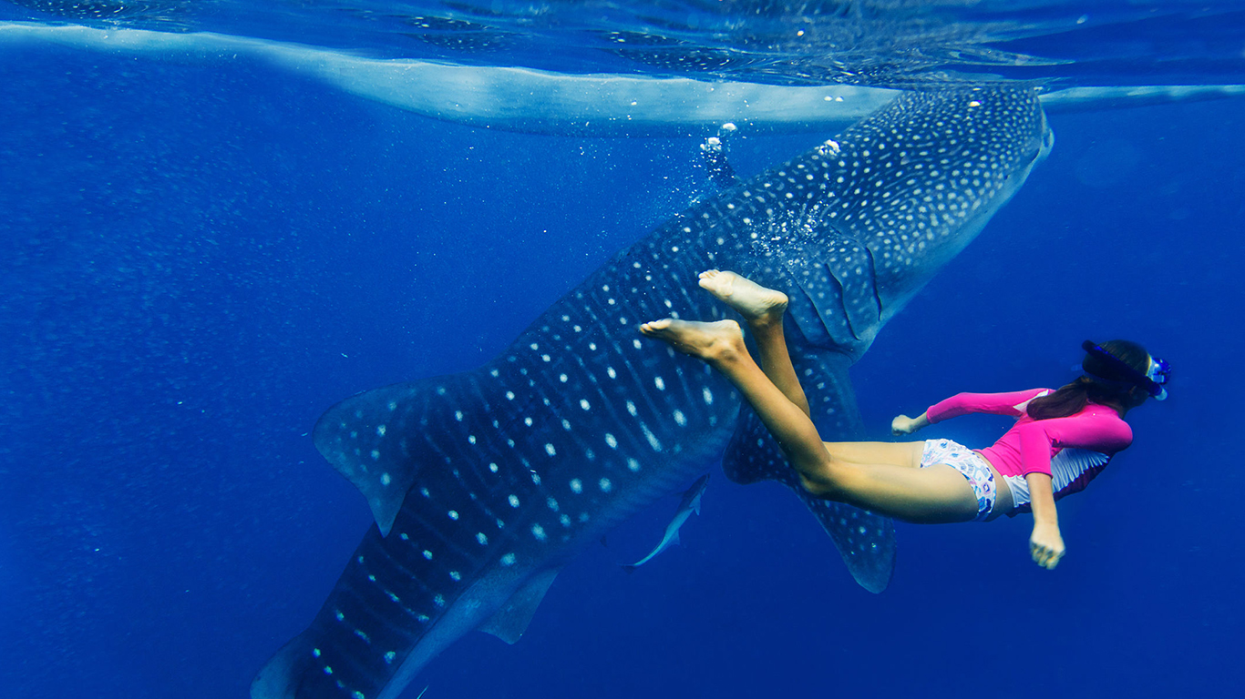 Mexico Snorkeling - HD Wallpaper 