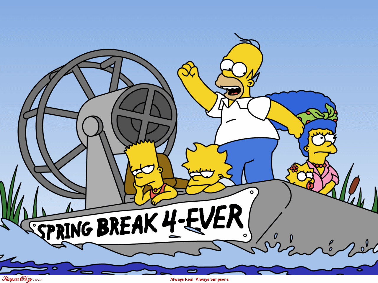 It's Spring Break - HD Wallpaper 