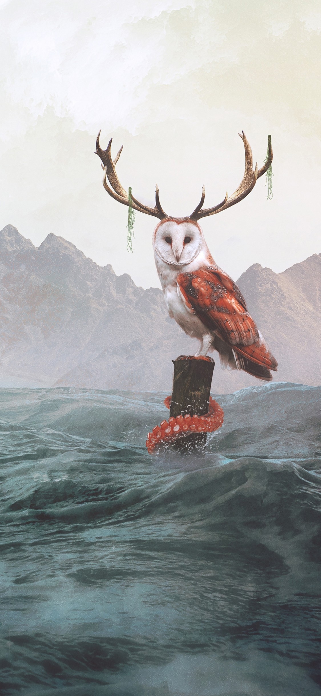 Owl, Waves, Digital Art, Octopus, Ocean - Octopus Art Iphone - HD Wallpaper 