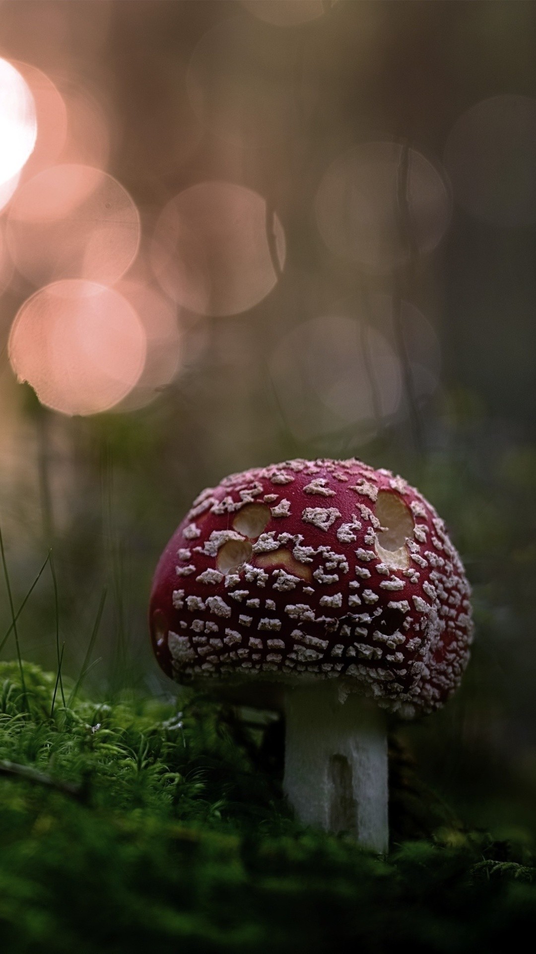 Google Pixel - Pixel 3xl Overwatch Backgrounds - HD Wallpaper 