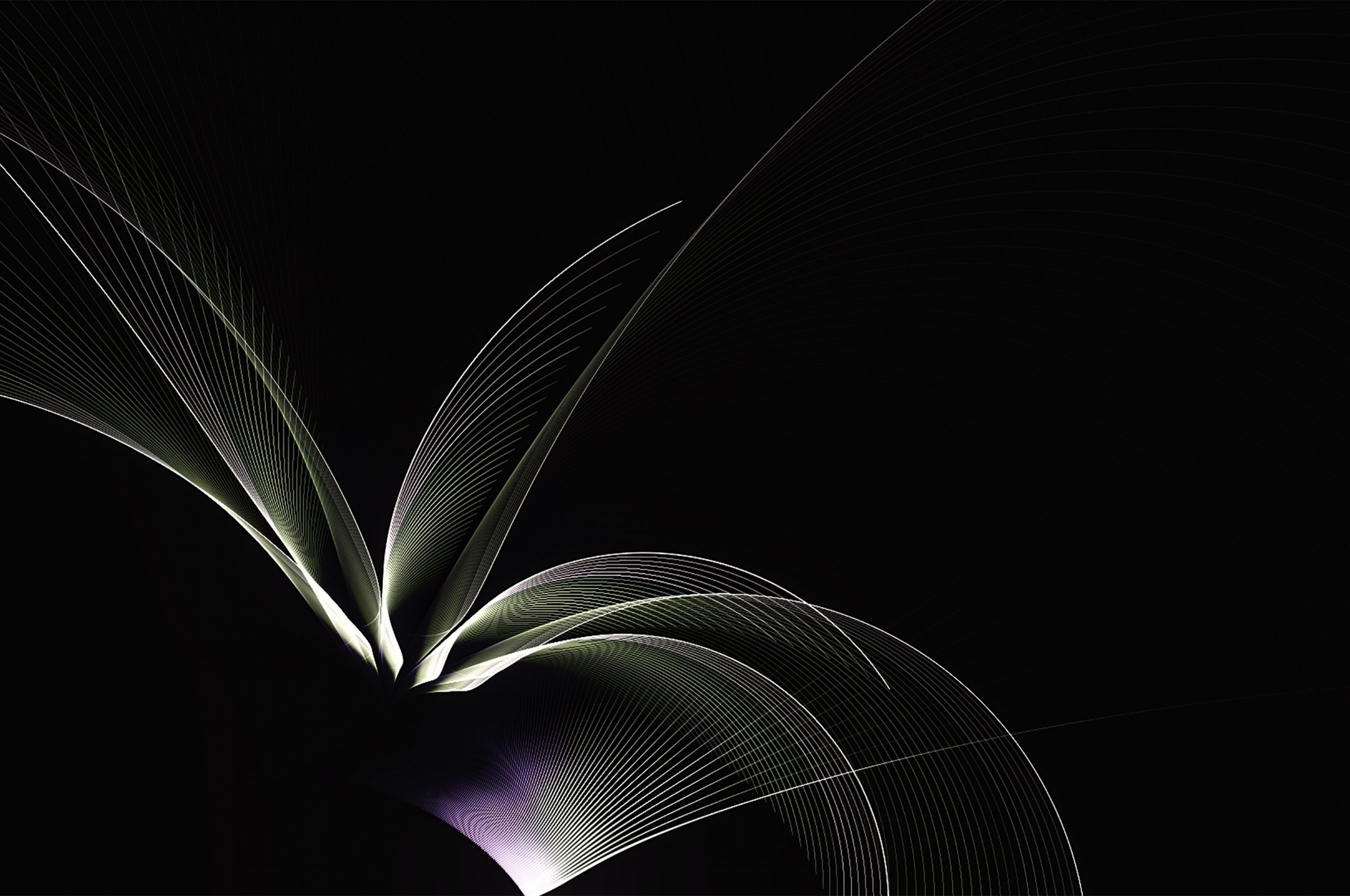 Fractal, Waves, Lines, Black - Dark Fractal - HD Wallpaper 