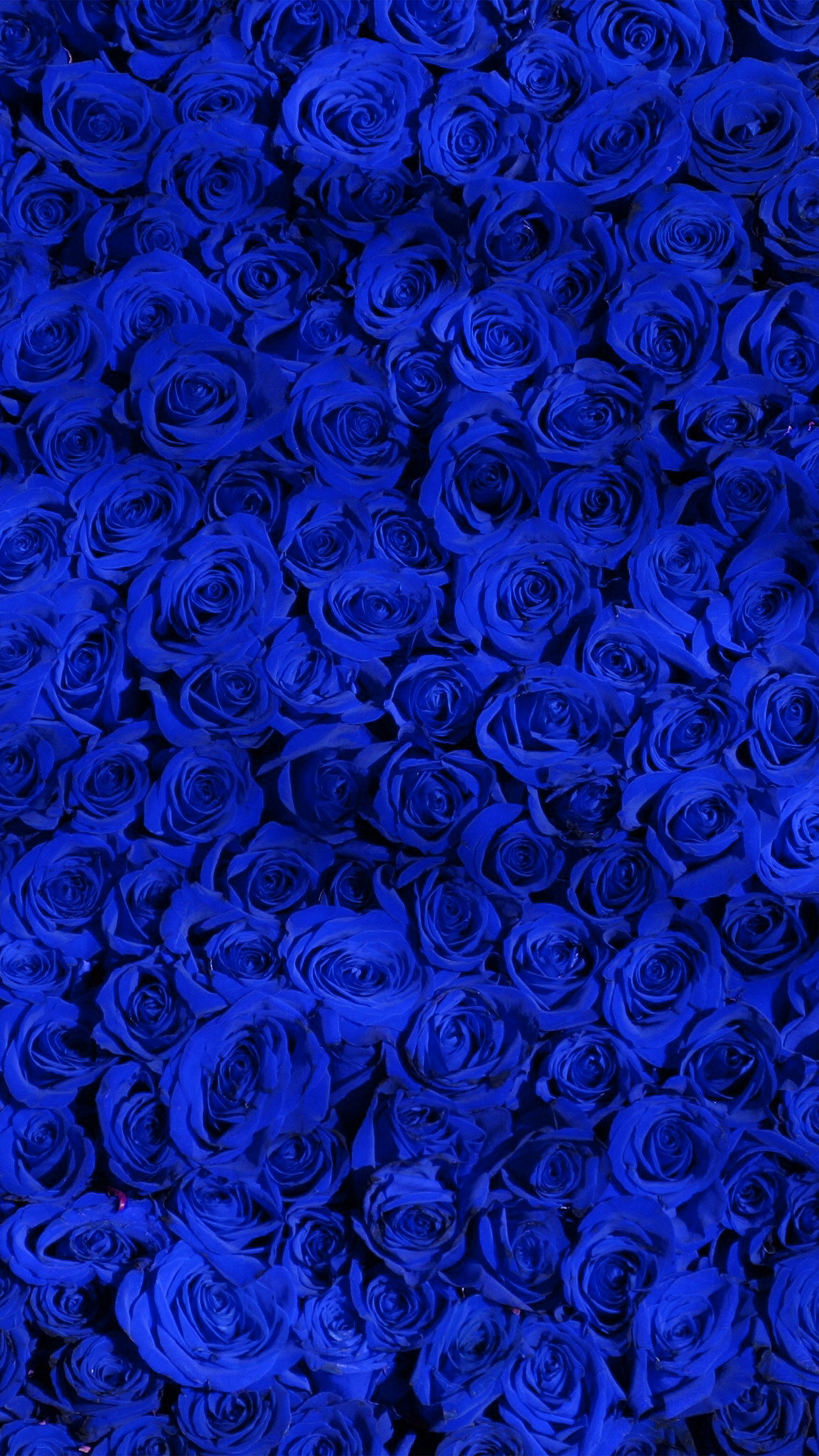 Com Apple Iphone8 Wallpaper Vo44 Rose Blue Pattern - Blue Roses Wallpapers Iphone - HD Wallpaper 