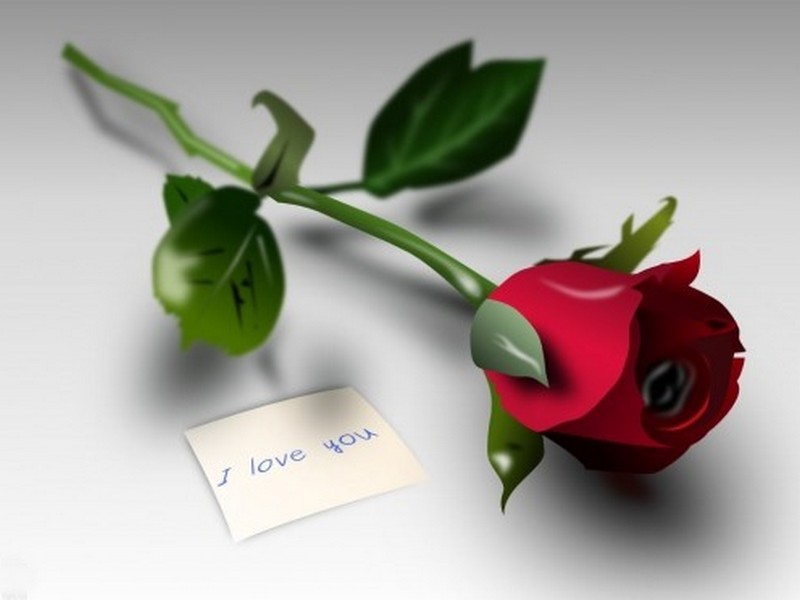 Love Ya - Rose Images 3d Hd - 800x600 Wallpaper Love Ya - Rose Images 3d Hd - 800x600 Wallpaper