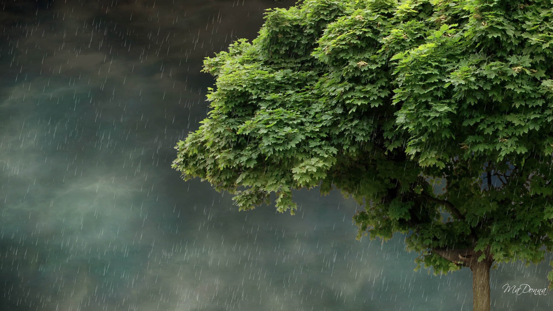 Spring Rain Wallpapers Background 
 Src Best Beautiful - Rain Nature Wallpaper Hd - HD Wallpaper 