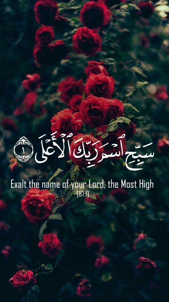 Islamic Wallpapers  Top Free Islamic Backgrounds  WallpaperAccess