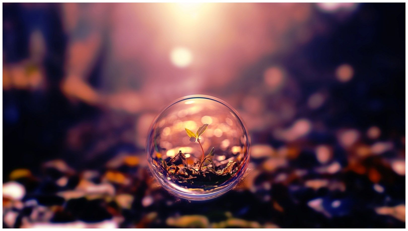 Full Hd - HD Wallpaper 