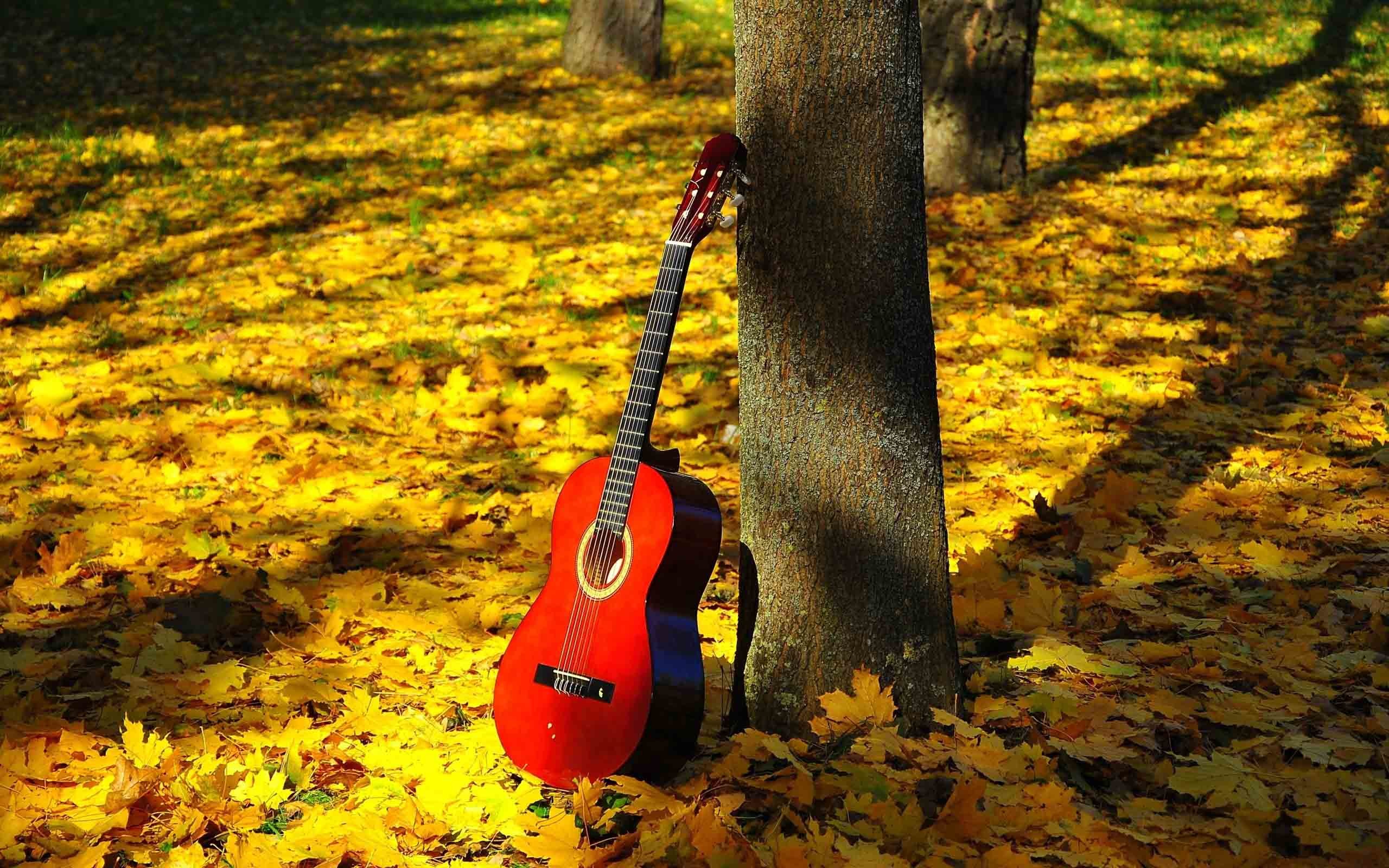 2560x1600, Latest Hd Wallpaper Download - New Full Hd Wallpaper Download - 2560x1600 Wallpaper 2560x1600, Latest Hd Wallpaper Download - New Full Hd Wallpaper Download - 2560x1600 Wallpaper
