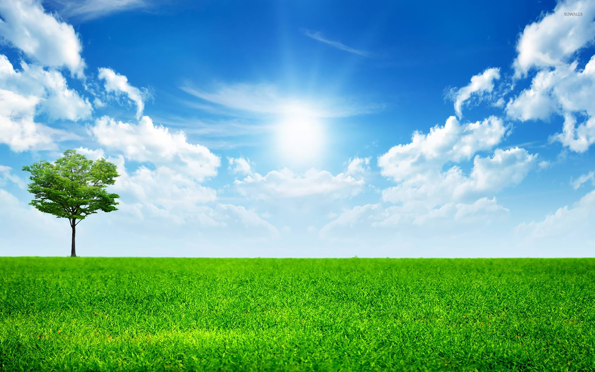 Happy Sunny Background - HD Wallpaper 