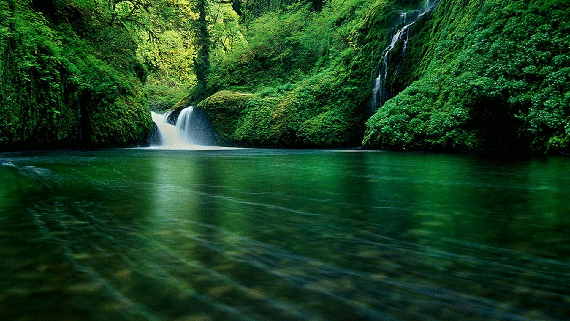 Best High Resolution Wallpapers Desktop Group Data-src - Forest Hd Wallpaper For Pc - 1920x1080 Wallpaper Best High Resolution Wallpapers Desktop Group Data-src - Forest Hd Wallpaper For Pc - 1920x1080 Wallpaper
