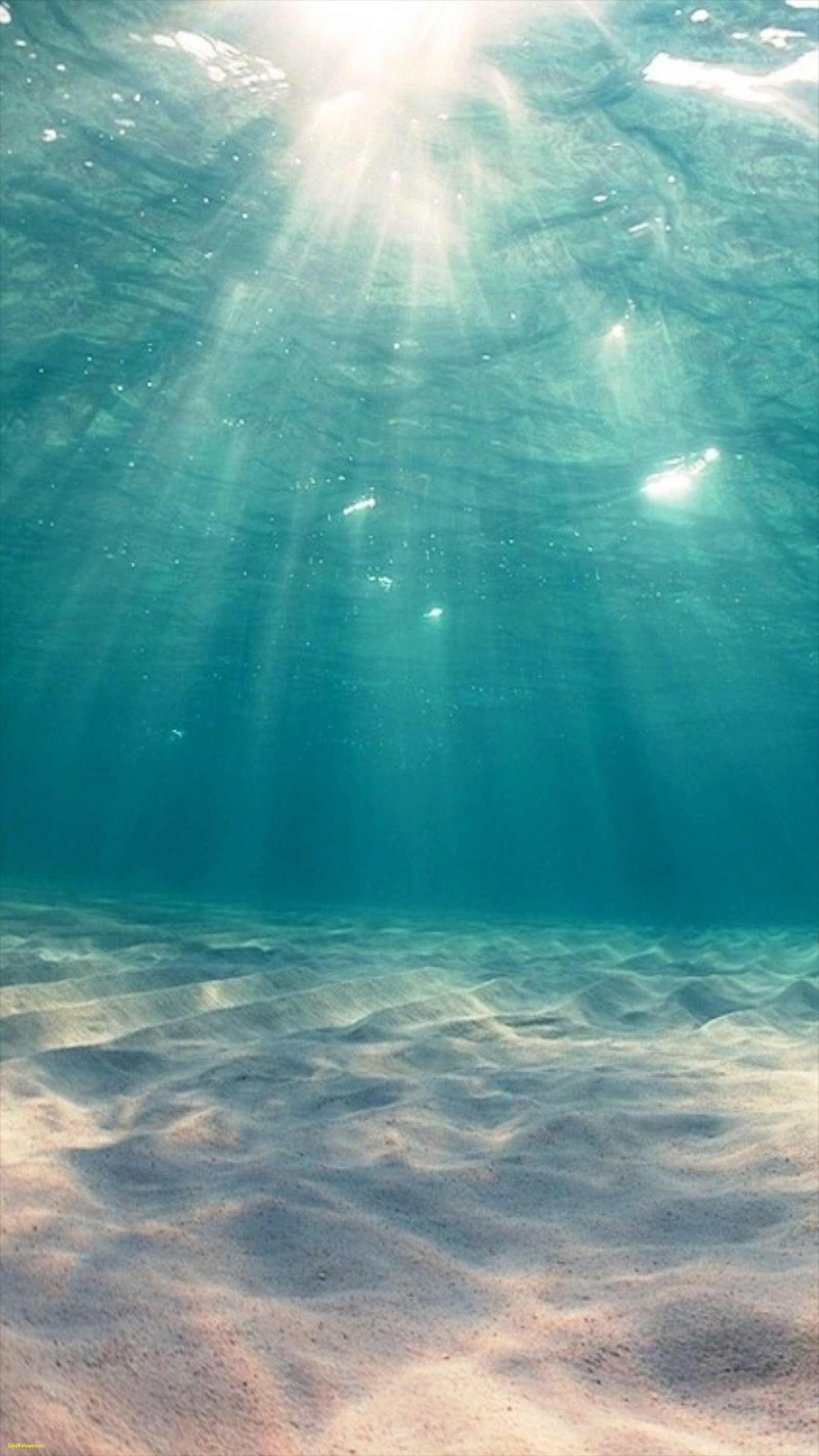 1600x2844, Sunshine Undersea Ocean View Deep Iphone - Deep Sea Wallpaper Iphone - HD Wallpaper 