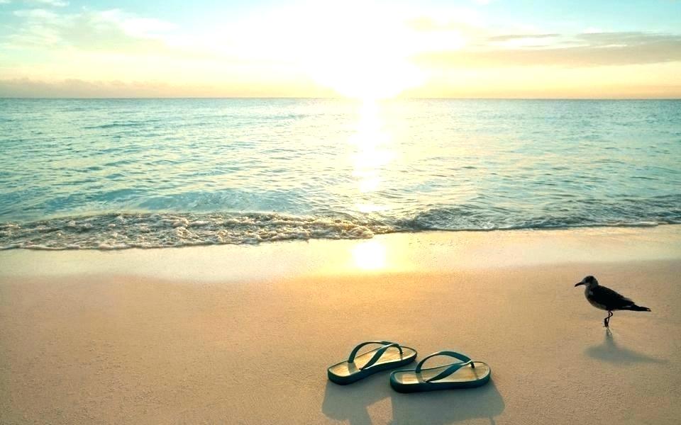 Ocean Wallpaper Border Beach Theme The Wallpapers From - Flipflops On The Beach - HD Wallpaper 