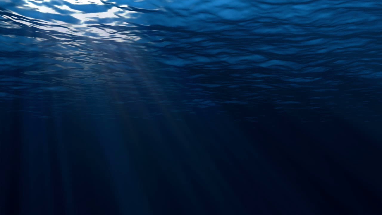 Under The Sea - HD Wallpaper 
