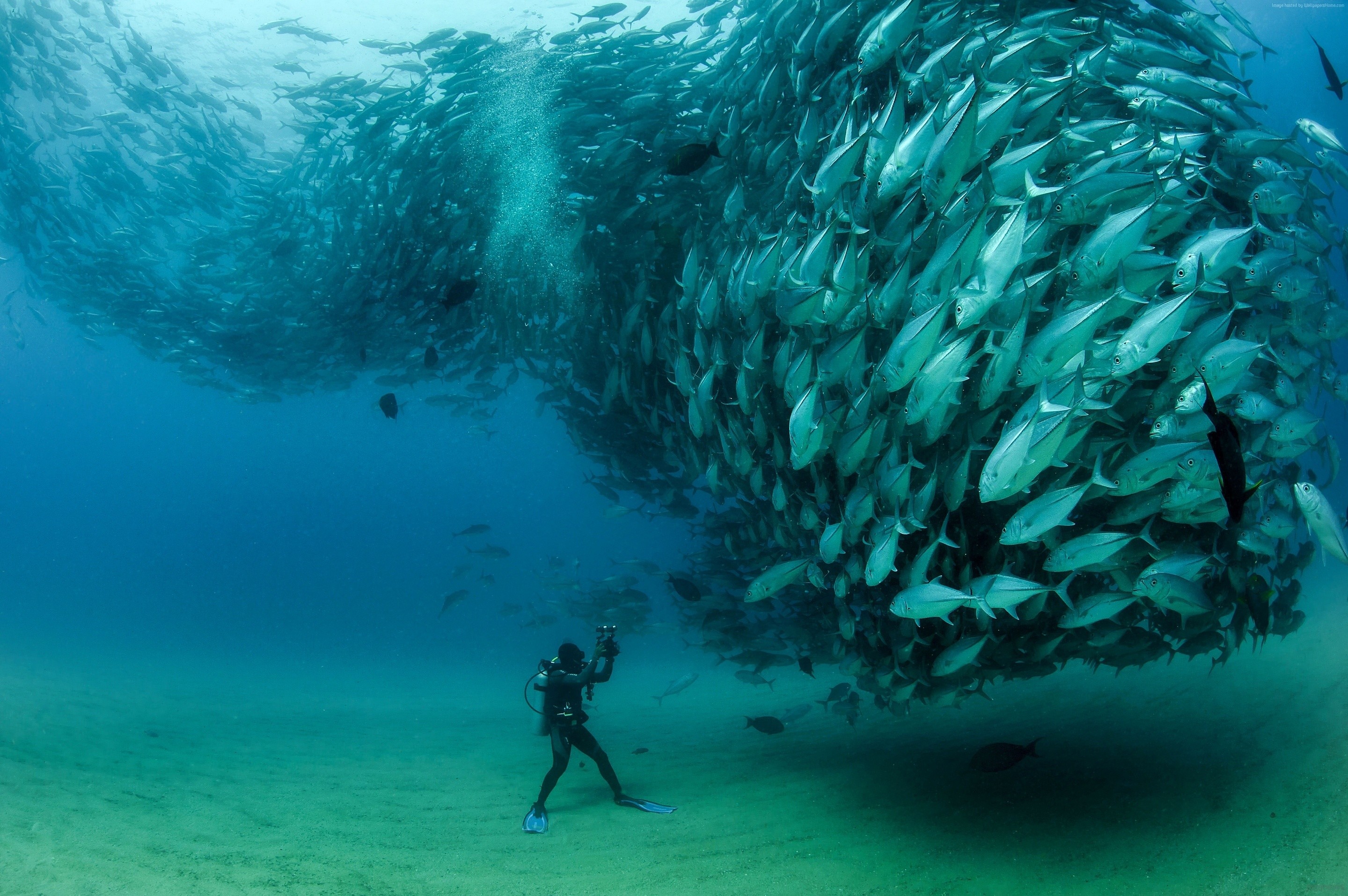2880x1916, Under Ocean Wallpaper 1080p 
 Data Id 150564 - Most Amazing Photos Of The World - HD Wallpaper 