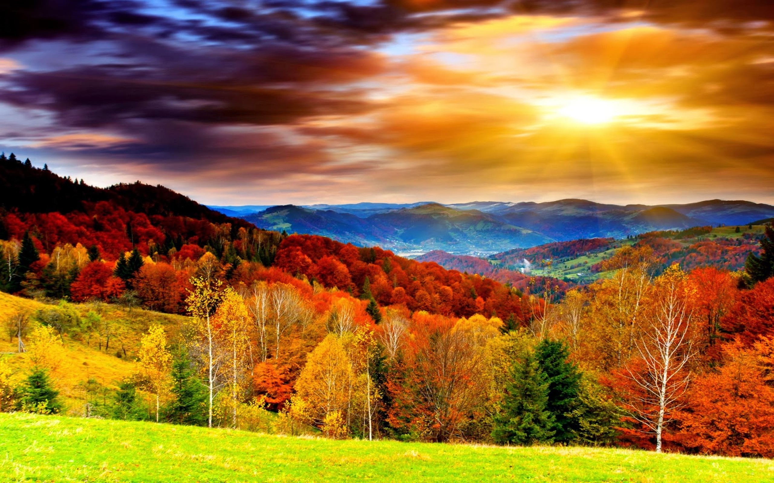 2560x1600, Widescreen Beautiful Scenery Nautre Hd Desktop - Autumn Desktop Backgrounds - HD Wallpaper 