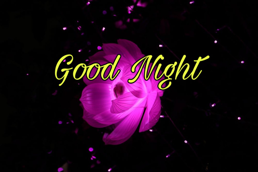 Good Night Wallpaper Download - 1079x720 Wallpaper 