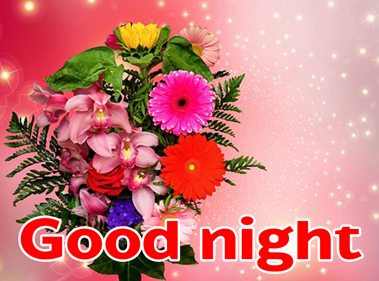 Cute Good Night Images - Get Well Wishes - HD Wallpaper 