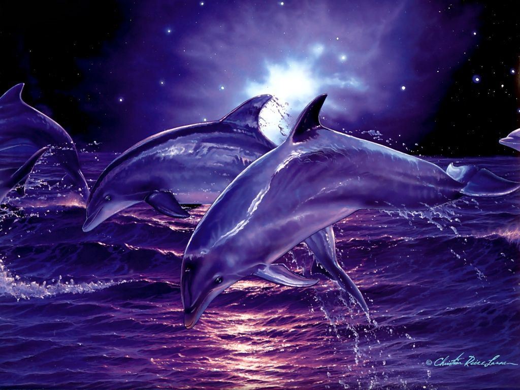 Cute Dolphins Wallpaper In 3d - HD Wallpaper 