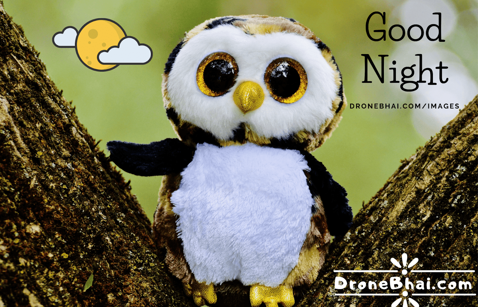 Gud Night Pics Free Download Hd - Tag Der Kuscheltier Liebhaber - HD Wallpaper 