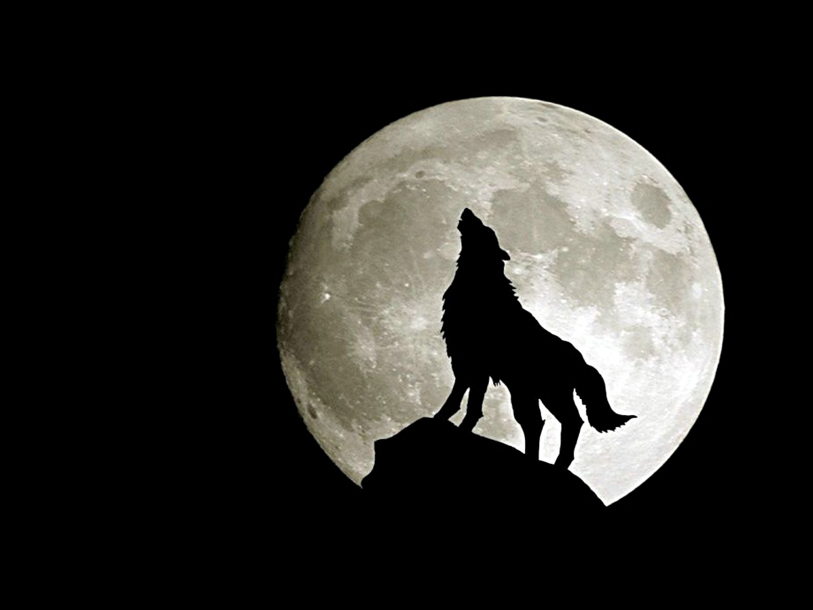 Full Moon Images Cartoon - HD Wallpaper 