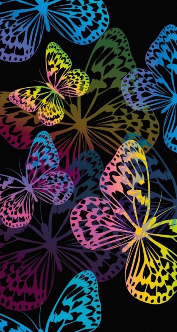Colorful Butterfly - HD Wallpaper 