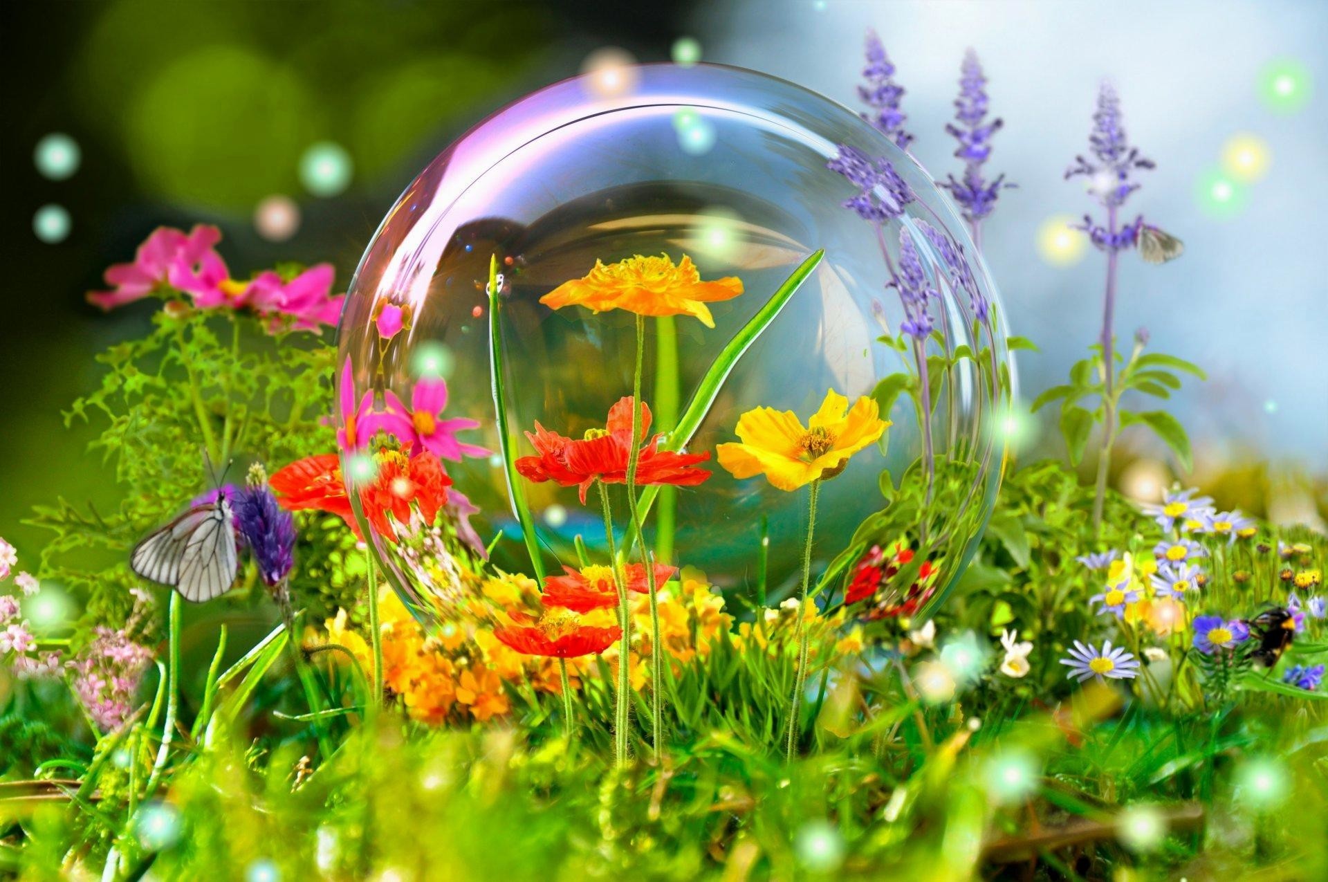 Meadow Nature Flower Wallpaper Butterfly Data Src - Hd Wallpaper Widescreen Spring - 1920x1275 Wallpaper Meadow Nature Flower Wallpaper Butterfly Data Src - Hd Wallpaper Widescreen Spring - 1920x1275 Wallpaper