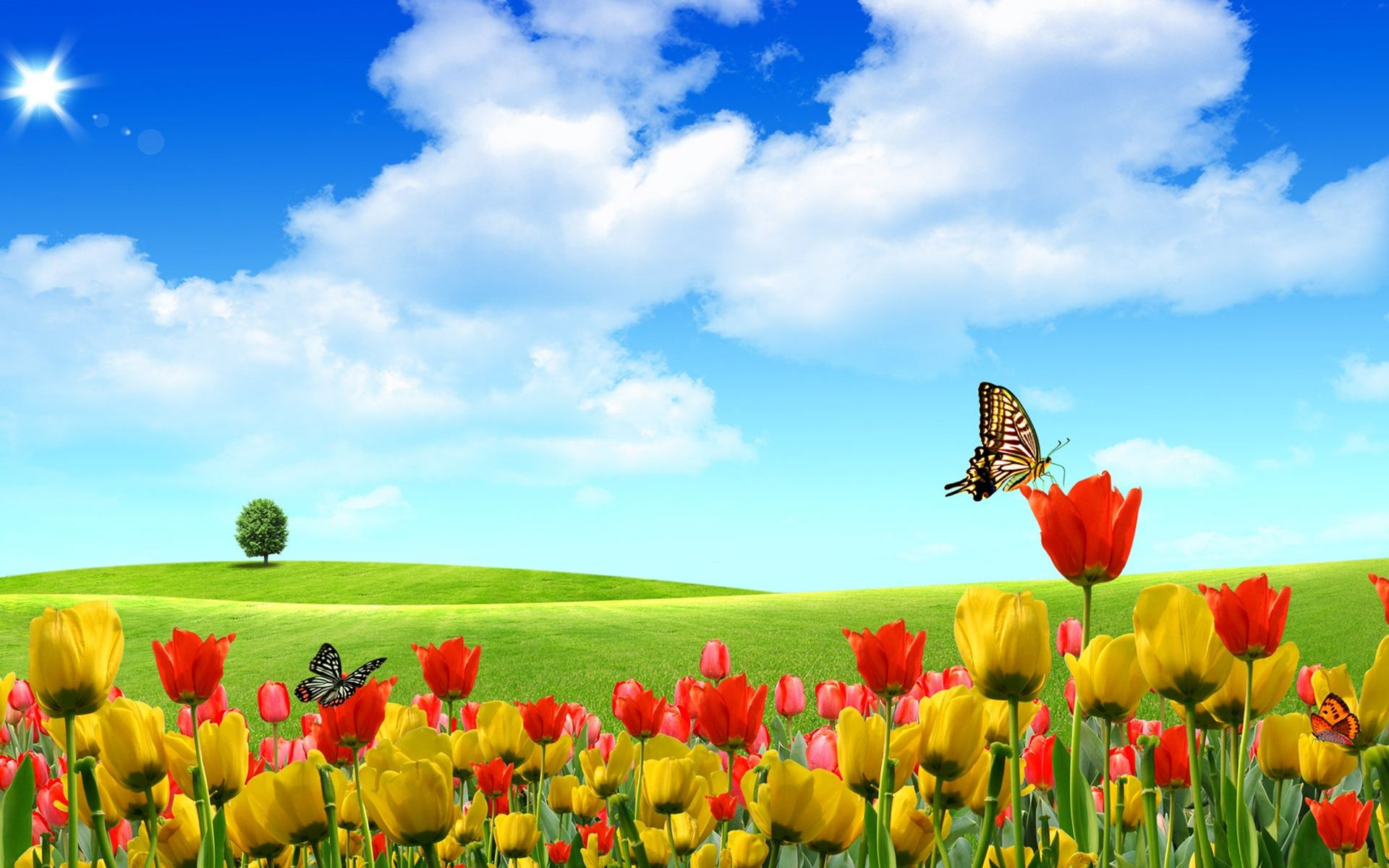 Nature-hd Wallpapers Nature Flowers 3d - Beautiful Landscape Flowers -  1920x1200 Wallpaper 