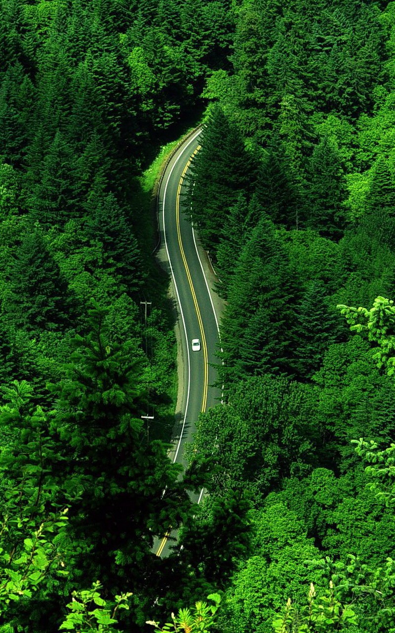 Hd Wallpaper Download For Android phone - Beautiful Road For Iphone - HD Wallpaper 