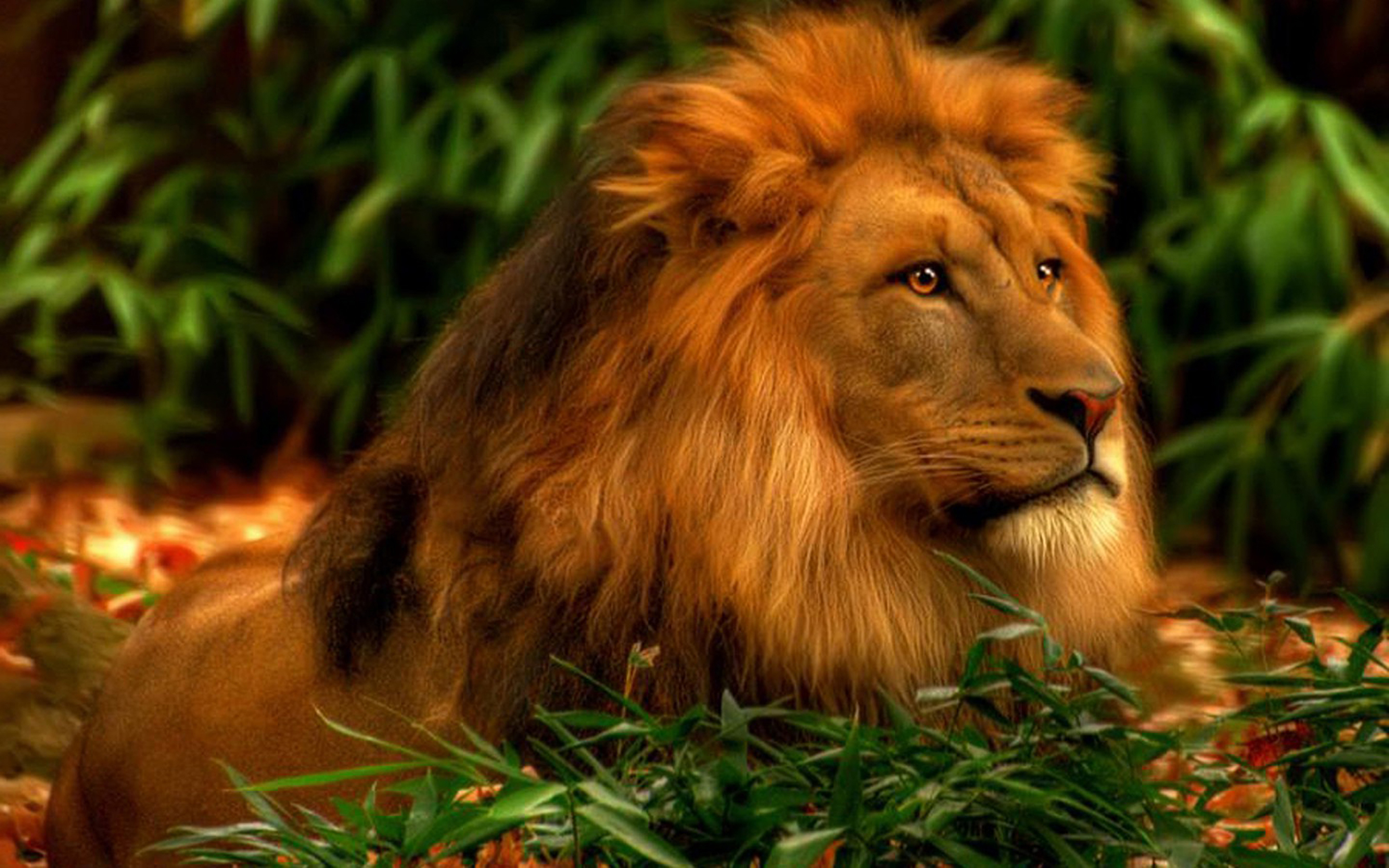 Lion Wallpaper 3d Hd - HD Wallpaper 