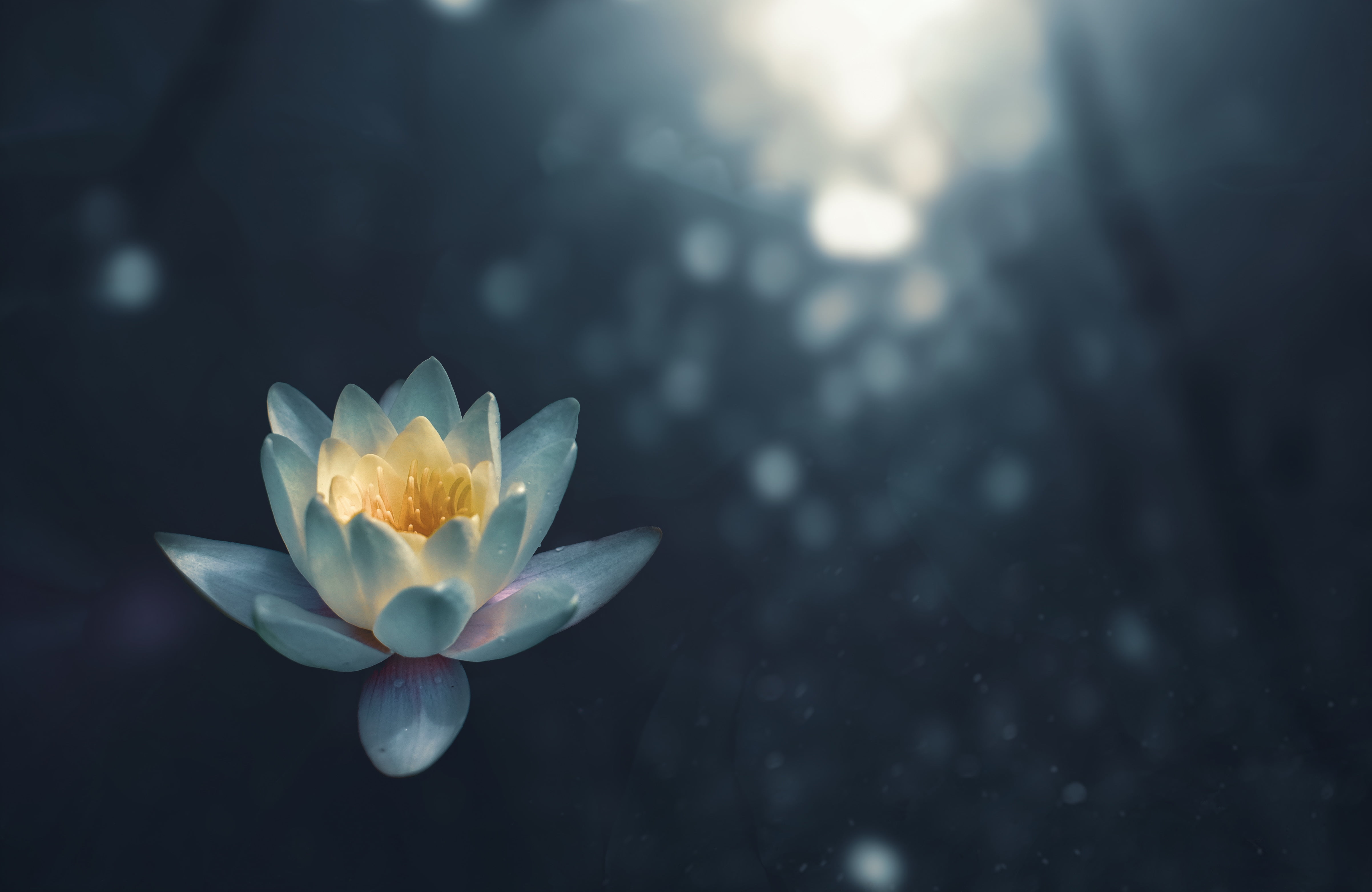 Meditation Photography - HD Wallpaper 
