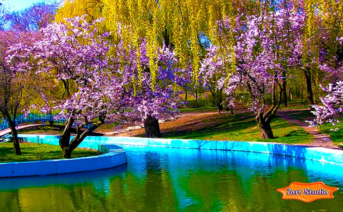 Plain Ideas Screen Saver Wallpaper Spring Park Sakura - Spring Flowers And Water - HD Wallpaper 