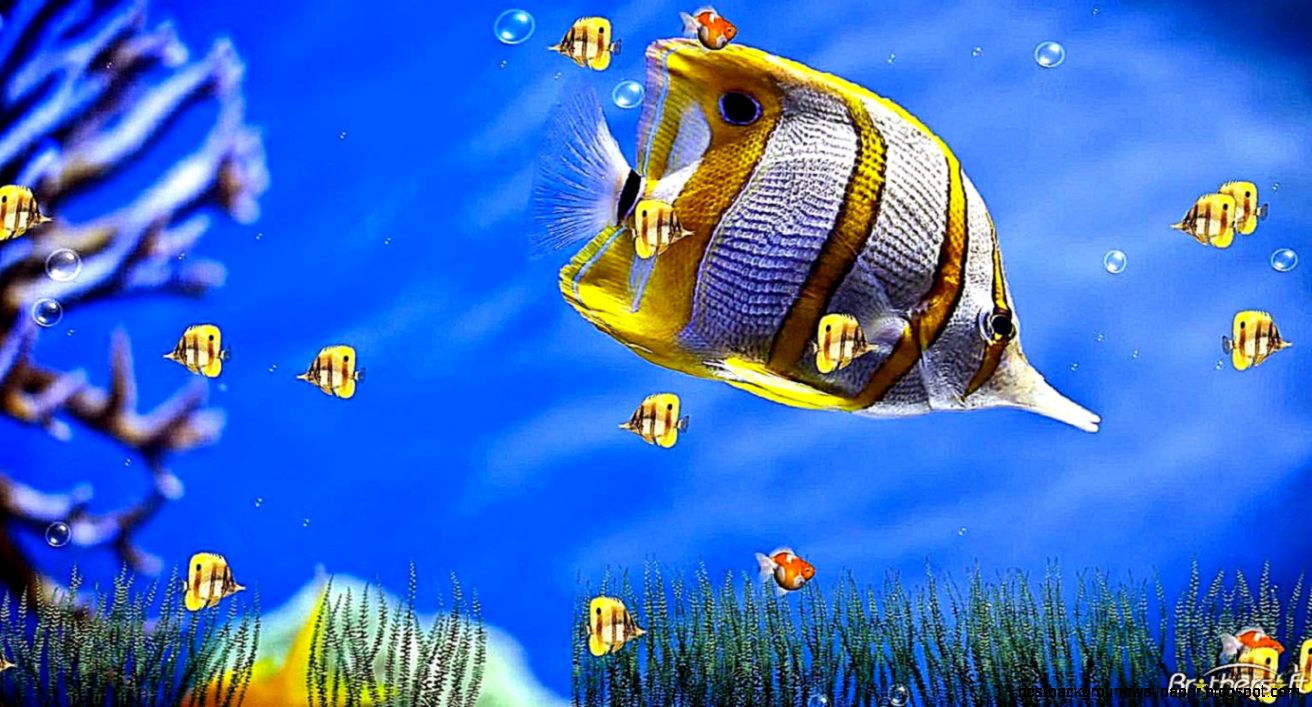 Moving Animated Wallpaper Download - HD Wallpaper 