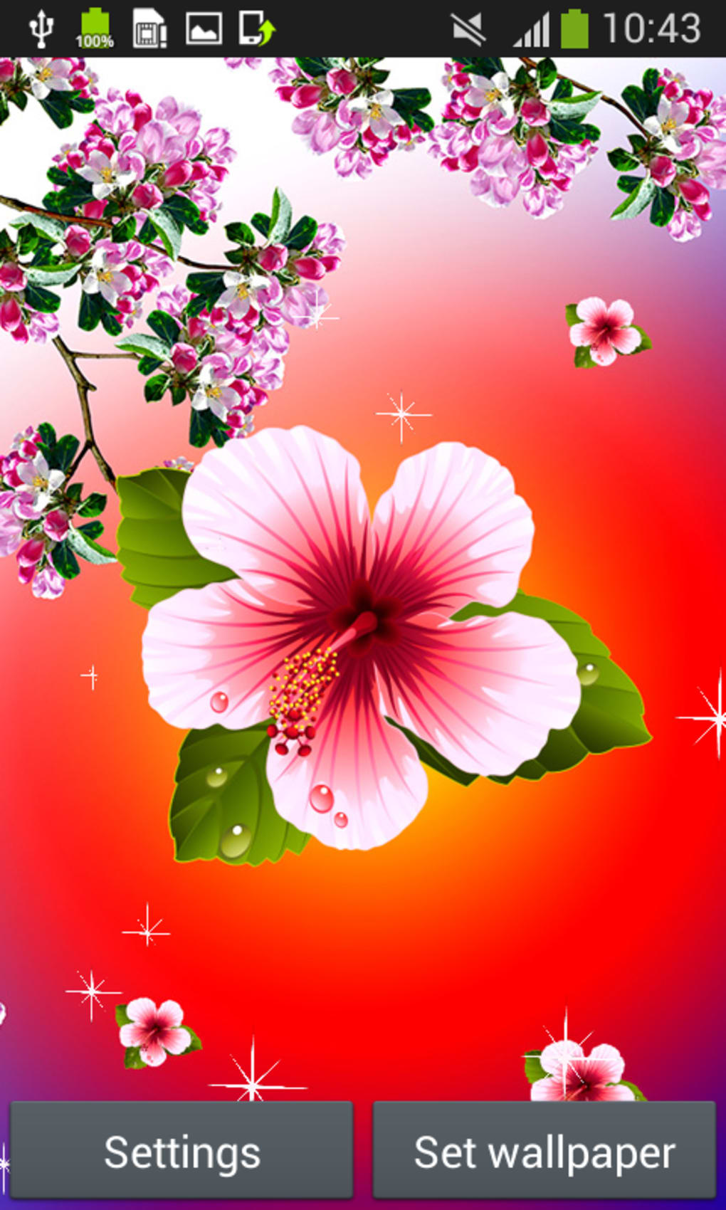 Love Live Wallpapers - Hawaiian Hibiscus - HD Wallpaper 