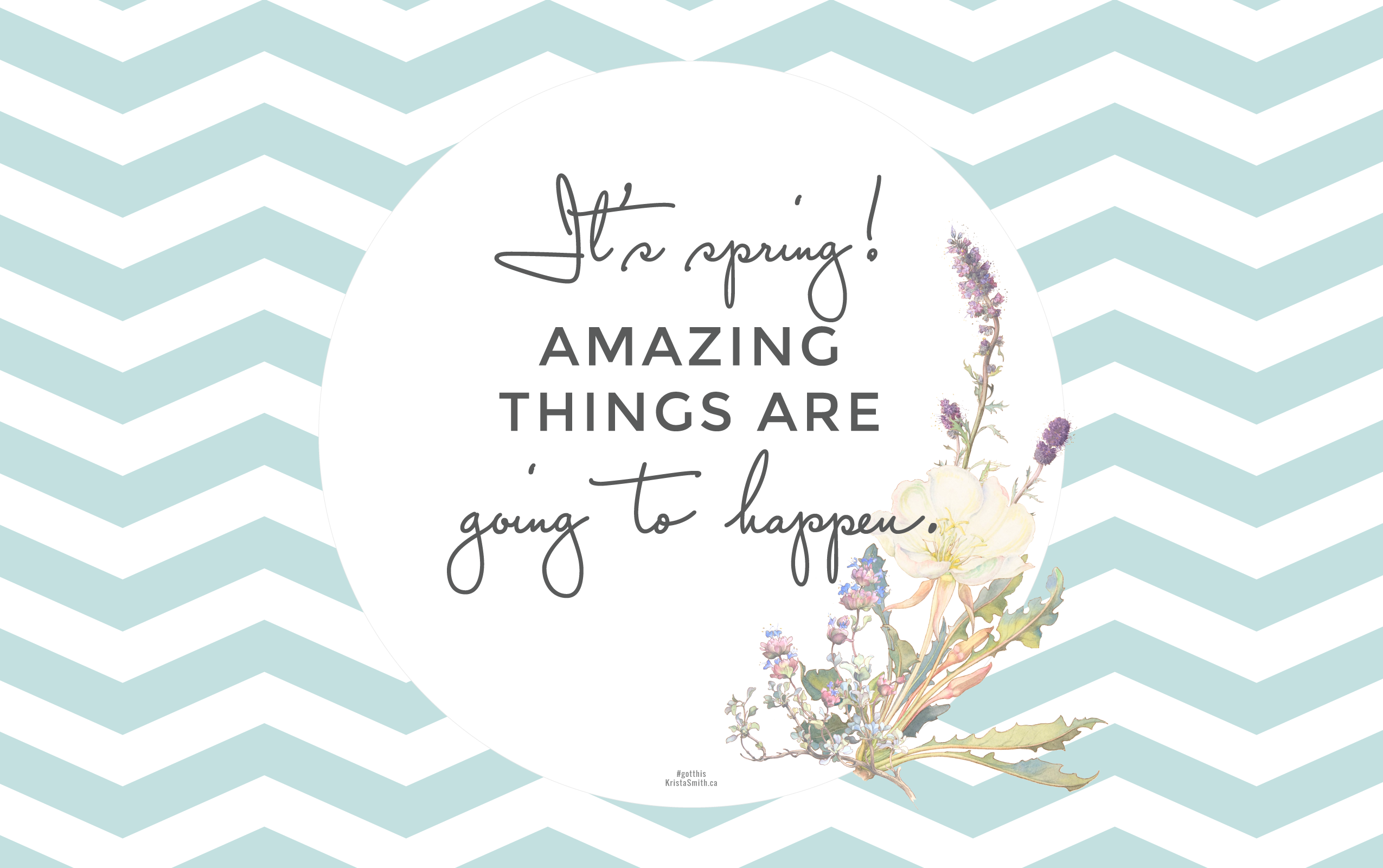 Mountain Phacelia, Phacelia Sericea - HD Wallpaper 