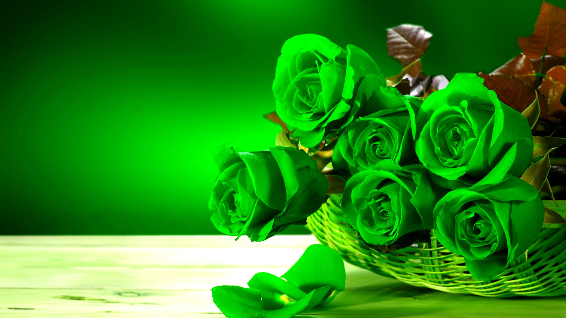 Beautiful Green Rose Wallpaper Hd - HD Wallpaper 