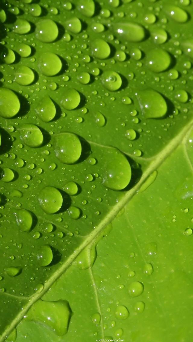 Screen Saver Images For Mobile - 640x1136 Wallpaper Screen Saver Images For Mobile - 640x1136 Wallpaper