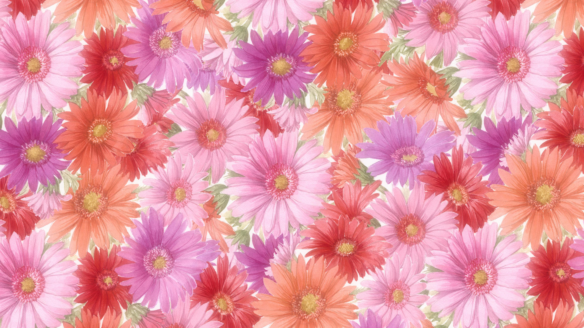 Amazing 38680874 Flower Wallpapers - HD Wallpaper 