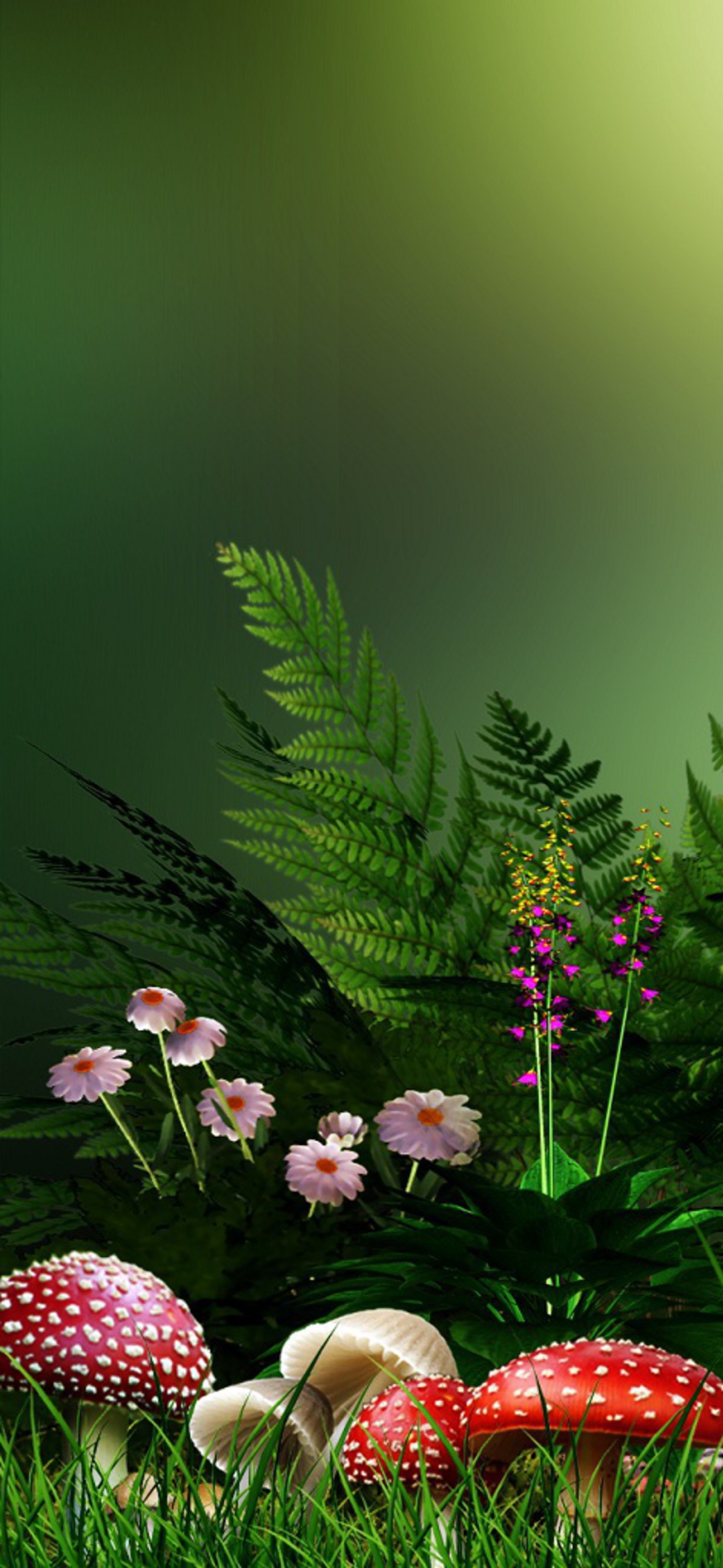 Flower Hd Phone Wallpaper 029 Nature Flower Wallpaper Hd Download 1080x2340 Wallpaper Teahub Io