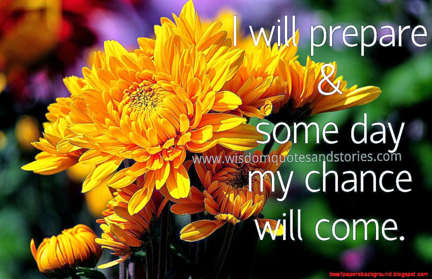 Fantastic Beautiful Flower Facebook Wallpaper - Beautiful Flowers With Beautiful Quotes - HD Wallpaper 