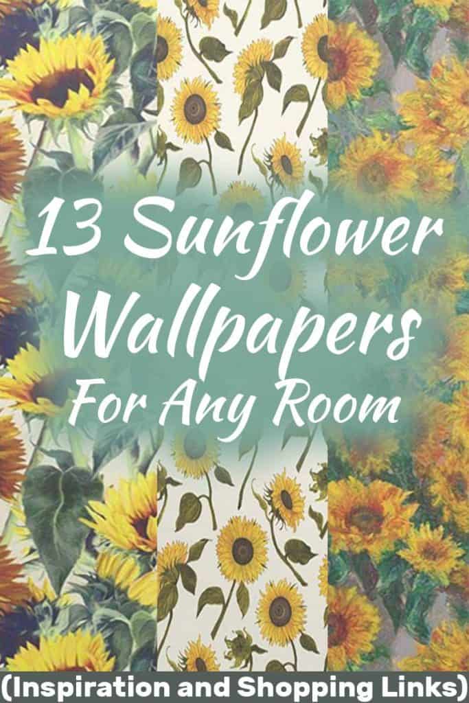 Sunflower Wallpapers - Sunflower - HD Wallpaper 