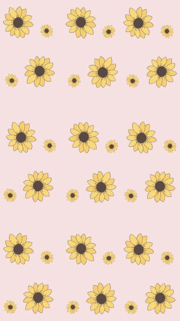 Image About Pink In W A L L P A P E R S By S A T U - Sunflower Wallpaper Iphone Cute - HD Wallpaper 