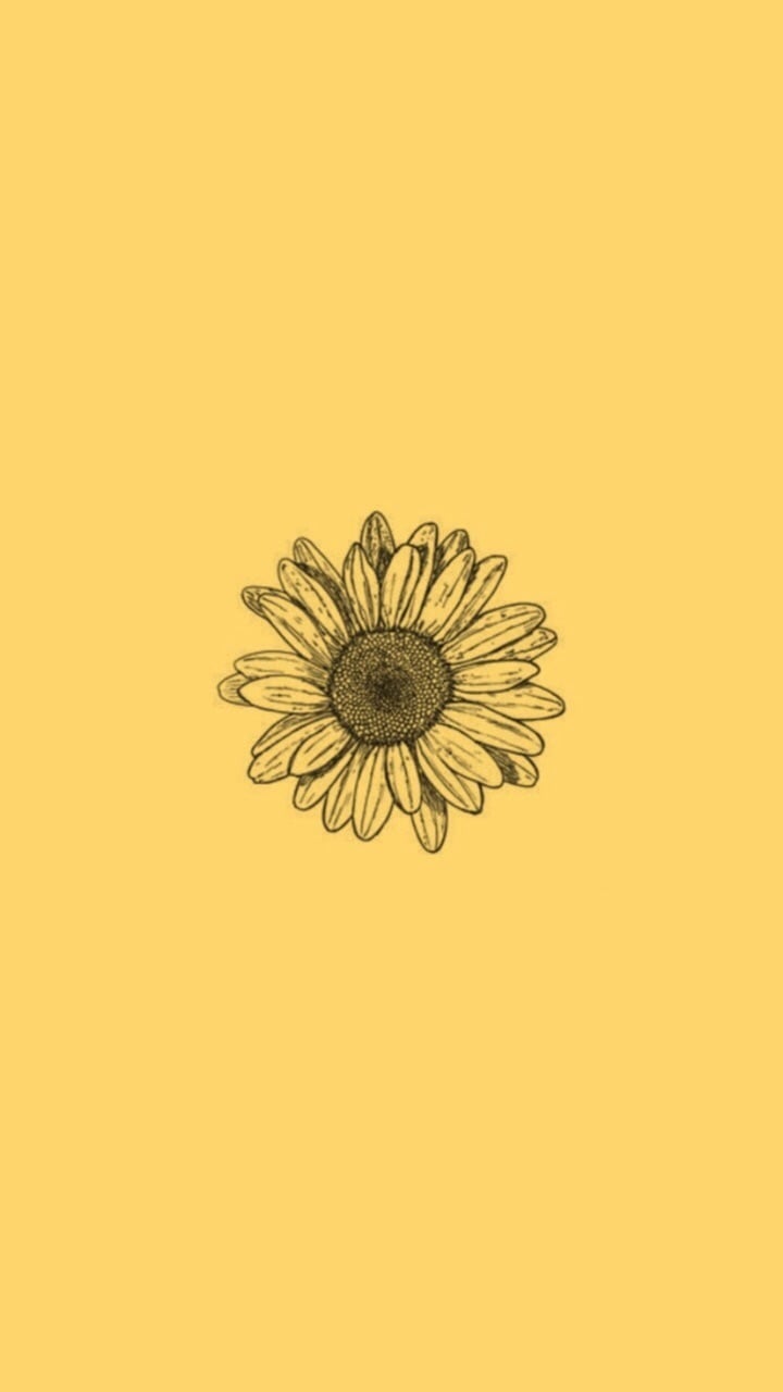 Image About Tumblr In Sunflowers By Lucian On We Heart - Cute Sunflower Phone Background - HD Wallpaper 