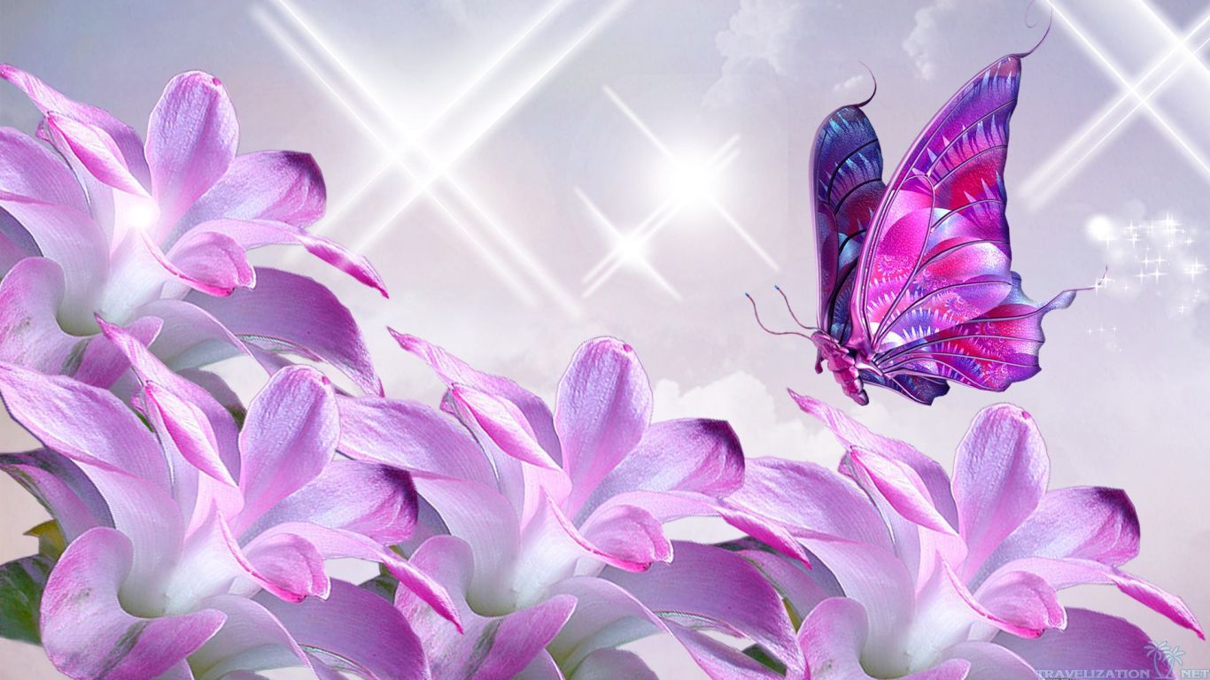 Beautiful Flower Pics October 1, 2015, Larhonda Durrant - 1366x768 Wallpaper Beautiful Flower Pics October 1, 2015, Larhonda Durrant - 1366x768 Wallpaper
