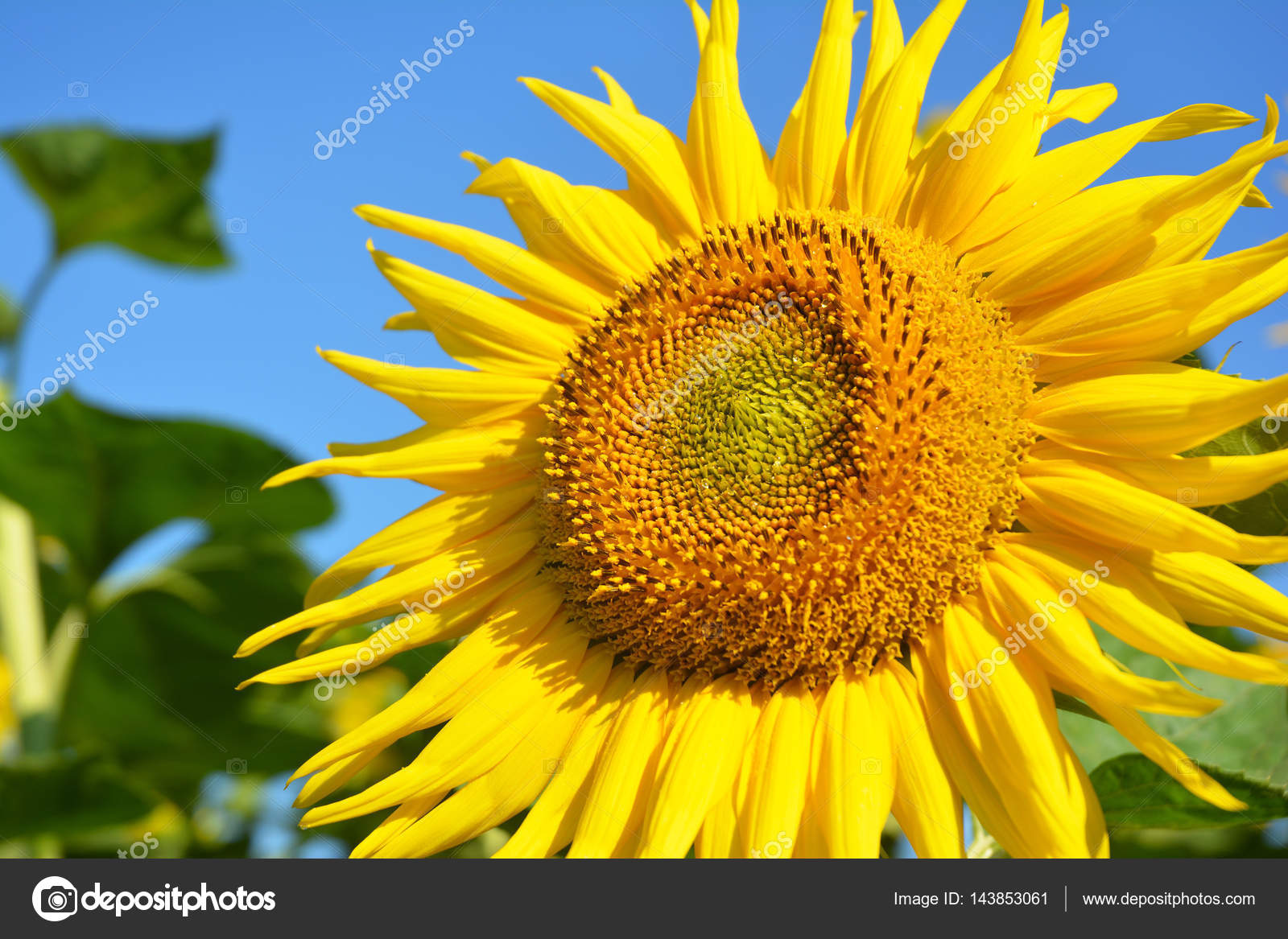 Photograph - HD Wallpaper 