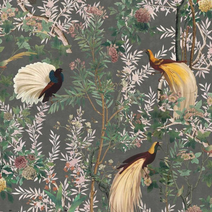Banksia - HD Wallpaper 