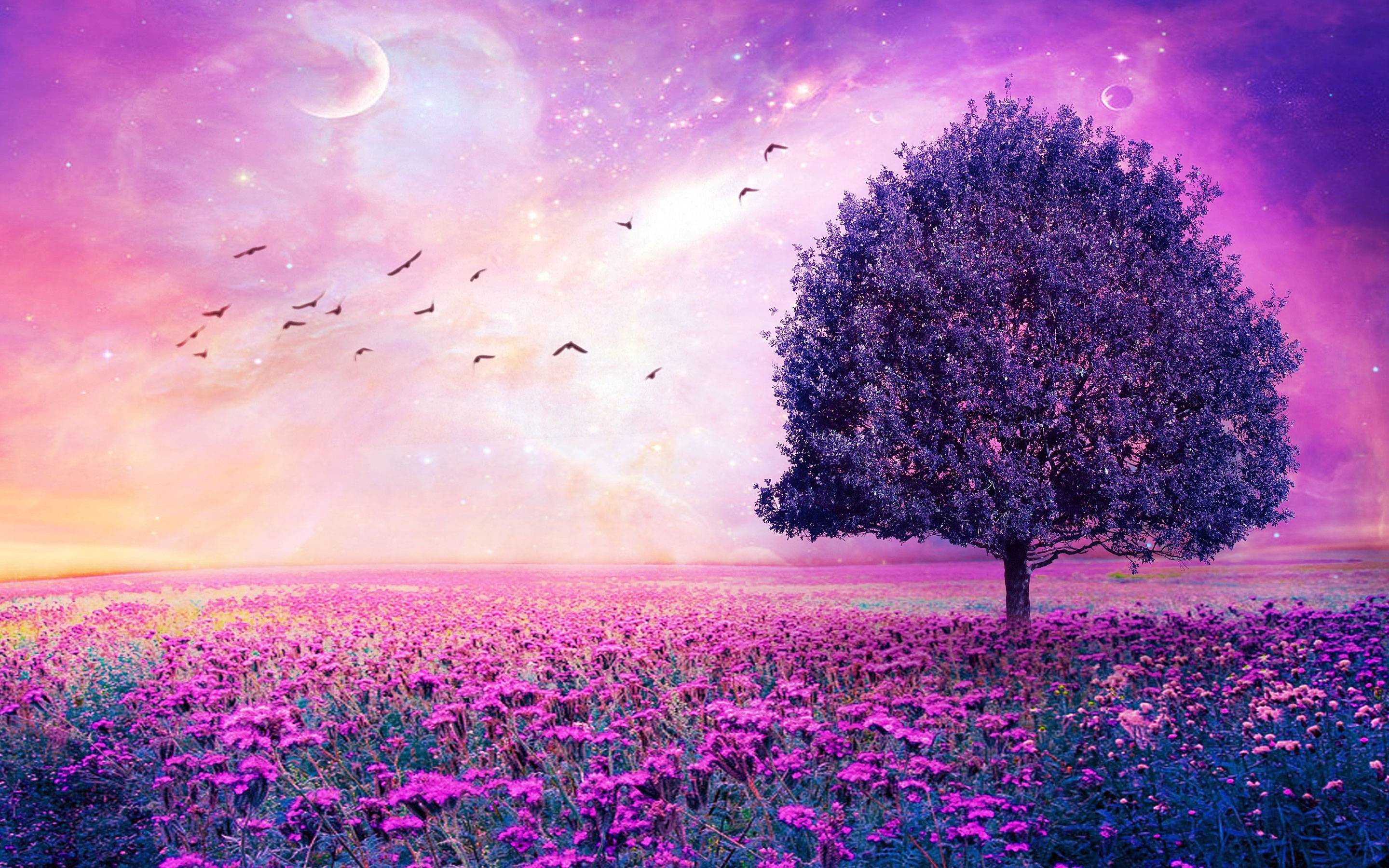 Purple Flowers Field Art Tree Hd Wallpapers - Purple Flower Hd - HD Wallpaper 