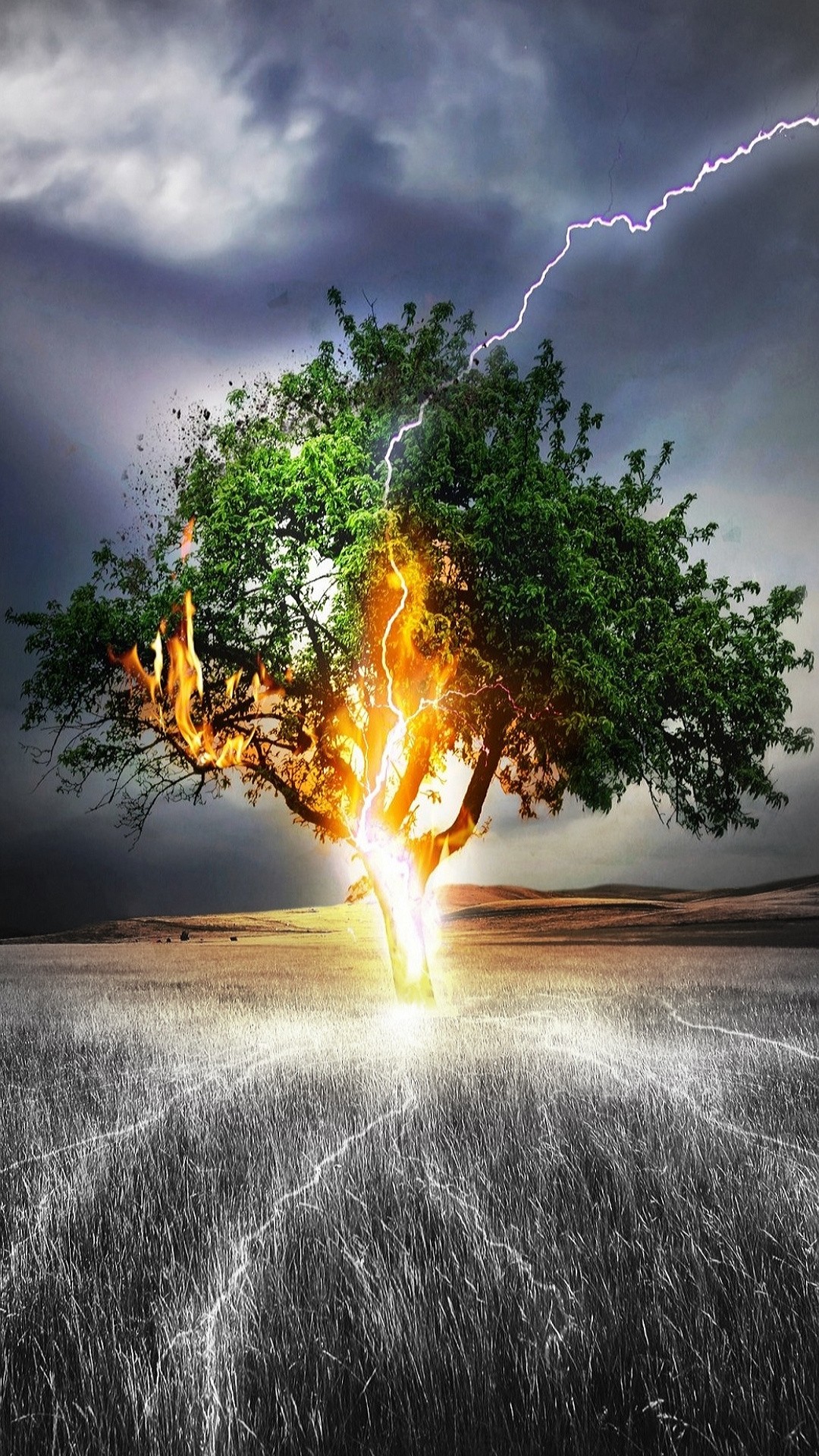 Lonely Tree Wallpaper - Hd Wallpapers For One Plus 3t - HD Wallpaper 