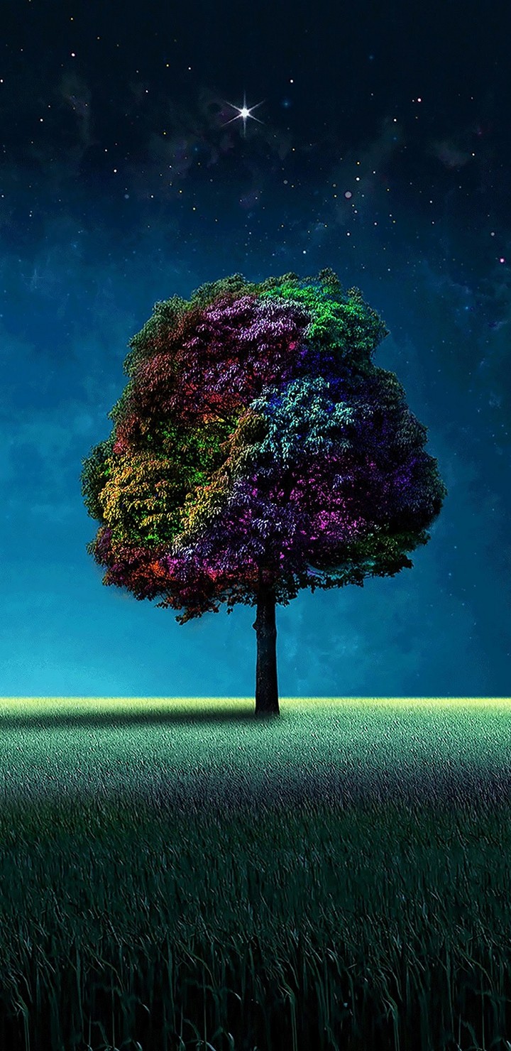 Colorful Tree Wallpaper - Calander Mobile Wallpaper August 2019 - HD Wallpaper 